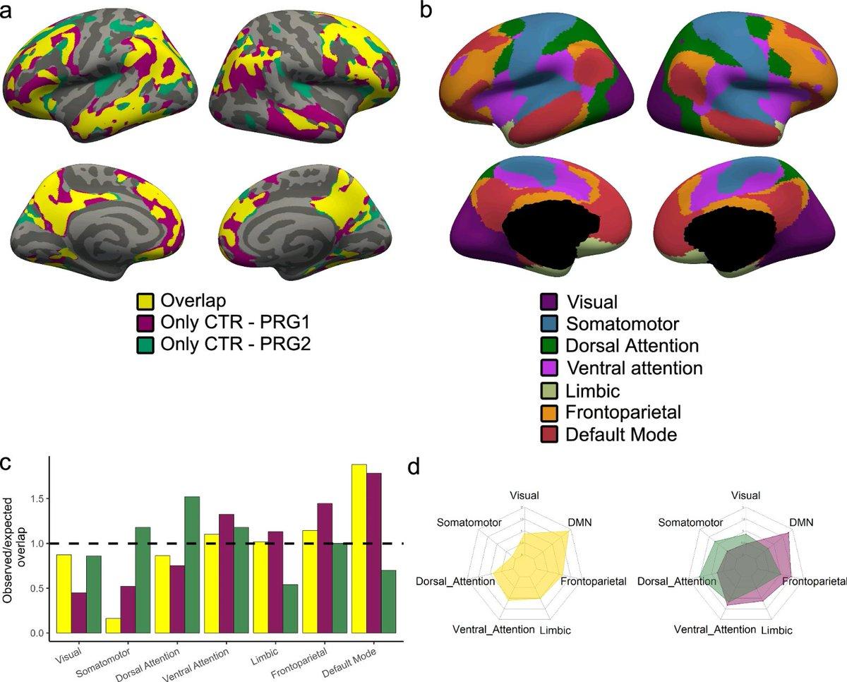 Second Pregnancy Uniquely Reshapes Women's Brain Structure and Function