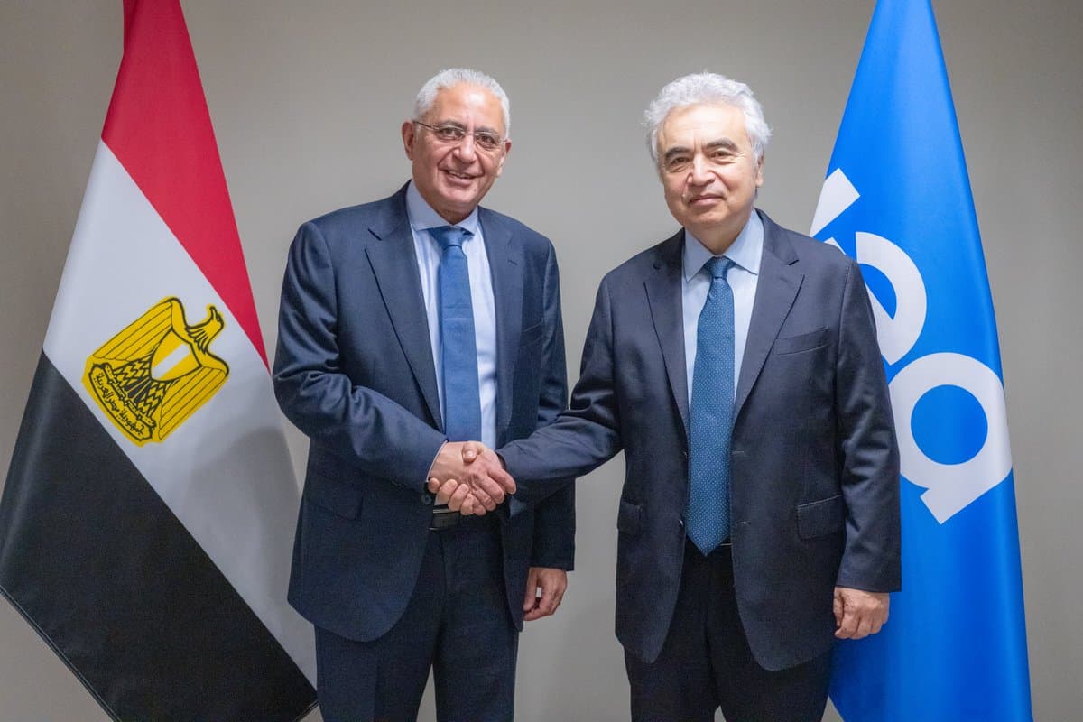 IEA and Egypt Discuss Strengthening Energy Collaboration