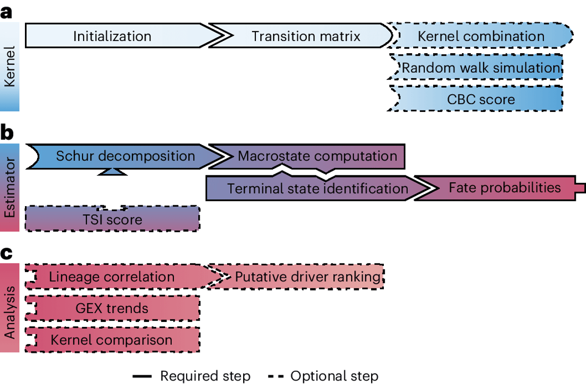 CellRank Maps Trajectories From Destructive Single‑cell RNA‑seq