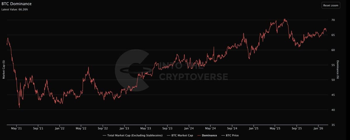 Bitcoin's Share Grows as Stablecoin Dominance Rises
