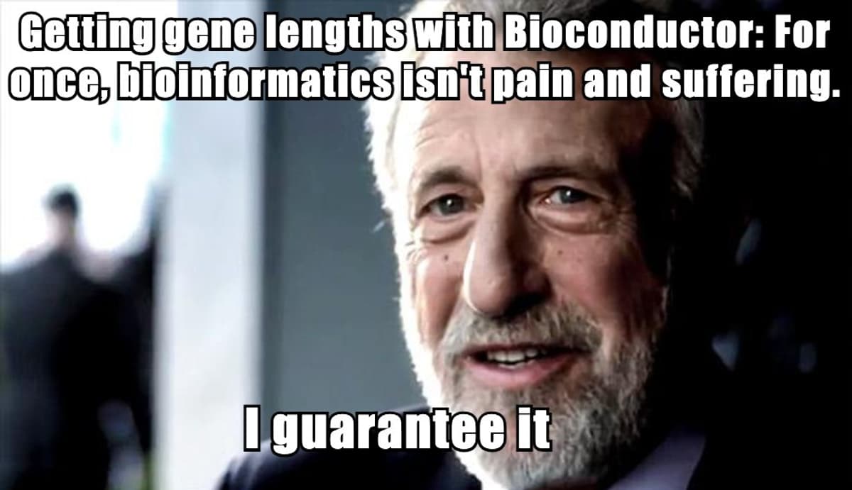 Retrieve Mouse Gene Lengths with Bioconductor TxDb