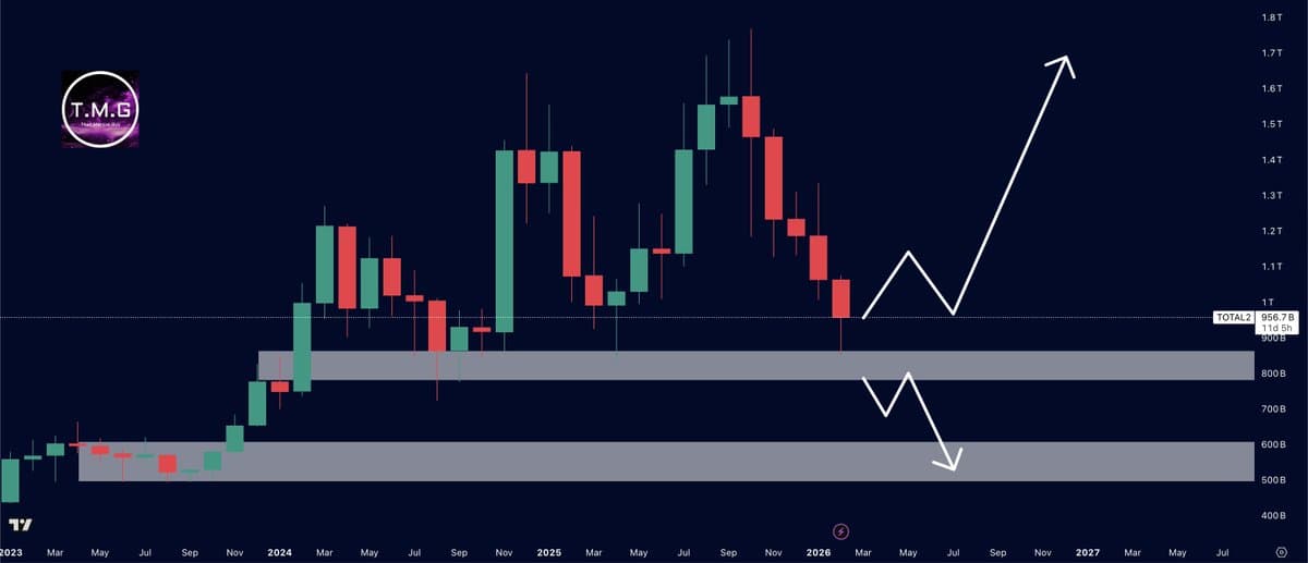 Altcoins Face 40% Crash If Support Fails