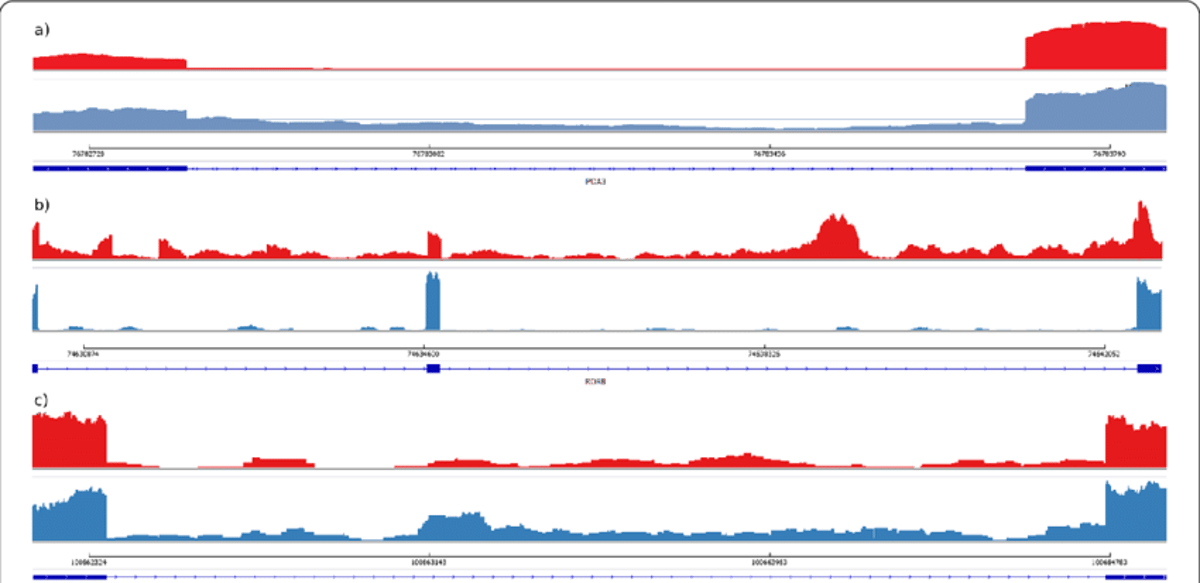 Intronic Reads in Bulk RNA‑seq: Common and Multi‑Faceted