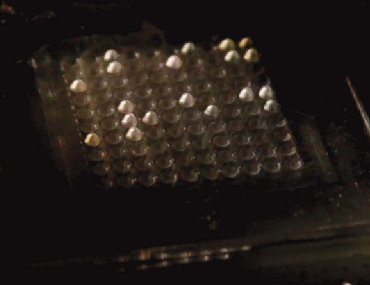 Soft Robotics and Assistive Tech: Merging for Societal Benefit