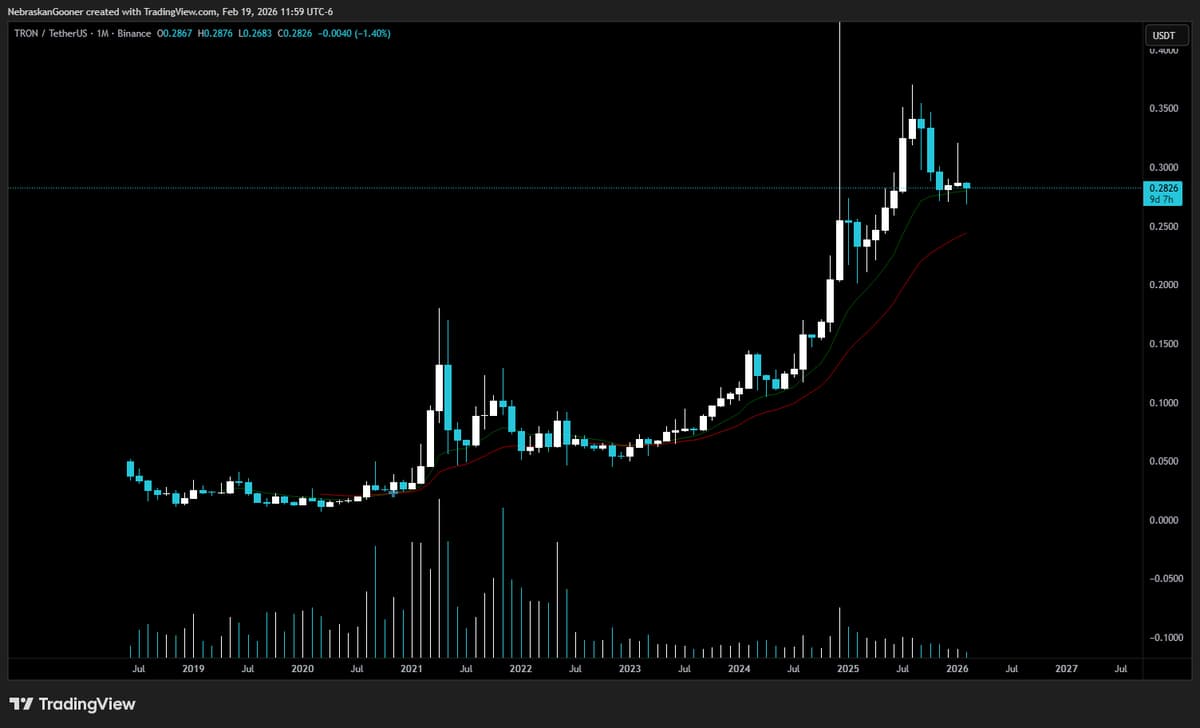 Justin Sun Endures Criticism Yet Stands With Community