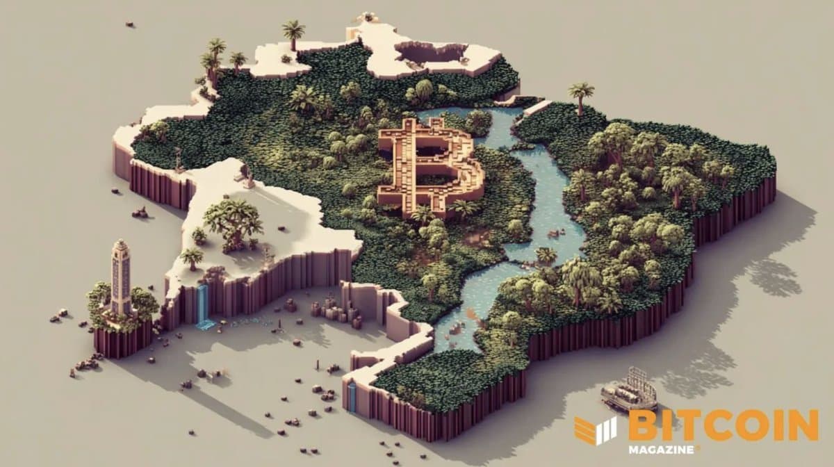 Brazil Should Delay Bitcoin Purchases Until Inflation Target Met