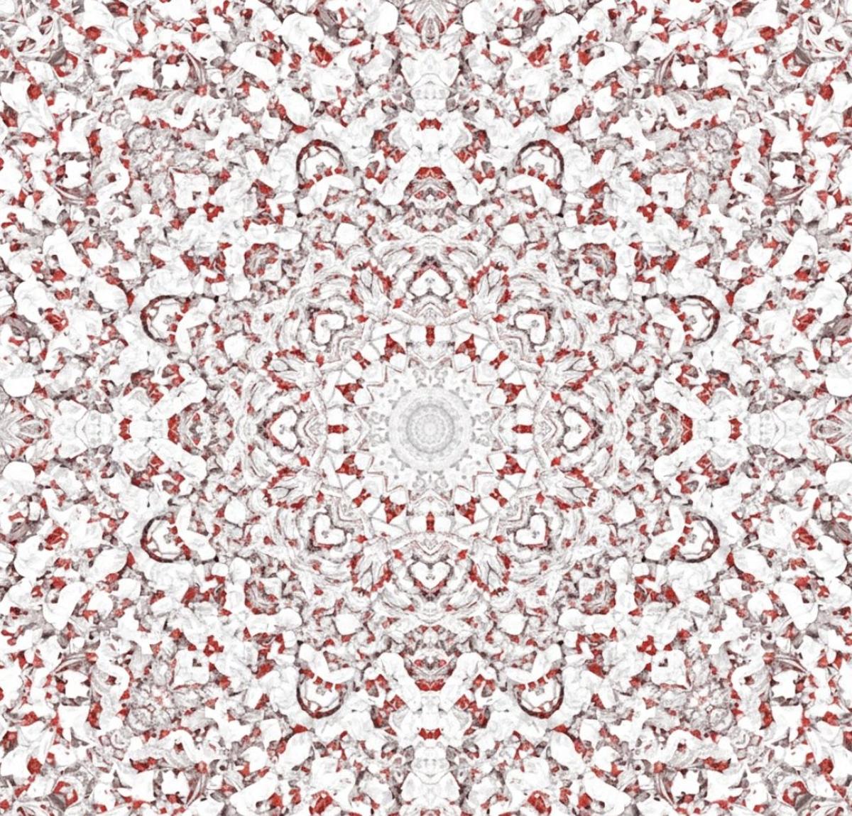 STARKs Amplify One Bad Transaction Into Whole Proof