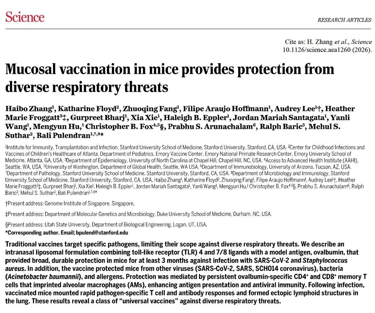 Nasal Mucosa Targeted for Universal Respiratory Vaccine
