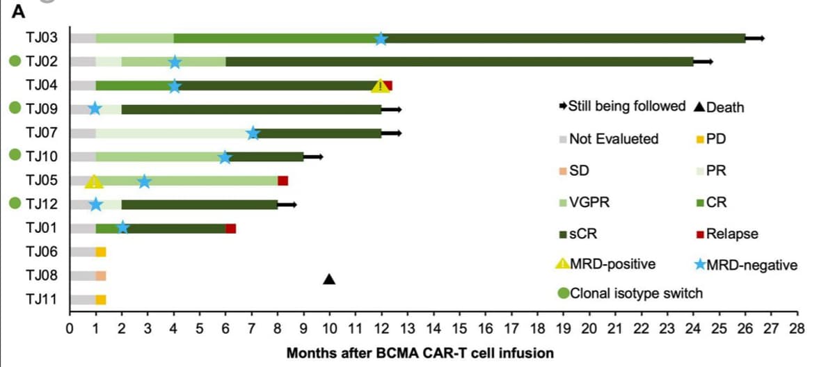 Anti‑BCMA CAR‑T Triggers Immunoglobulin Isotype Switching