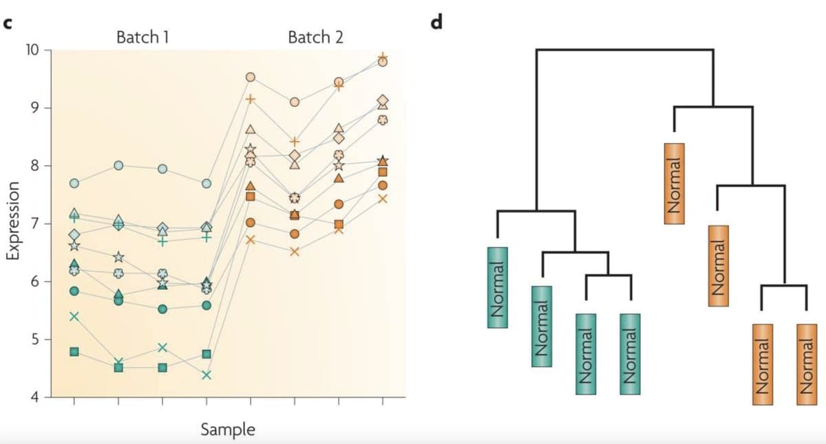 RNA‑seq Batch Effects Can Fabricate False Biological Results