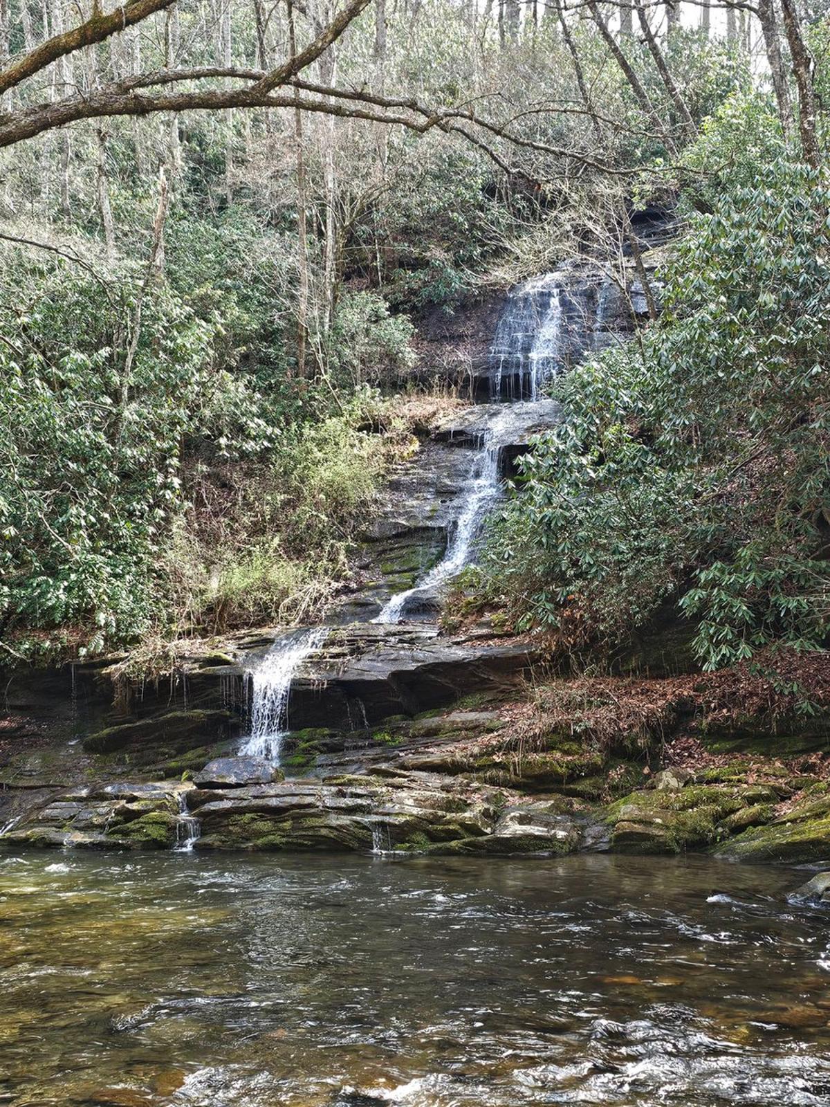 Global Trade Risks Rising – Freight Forwarder Launches Tomorrow