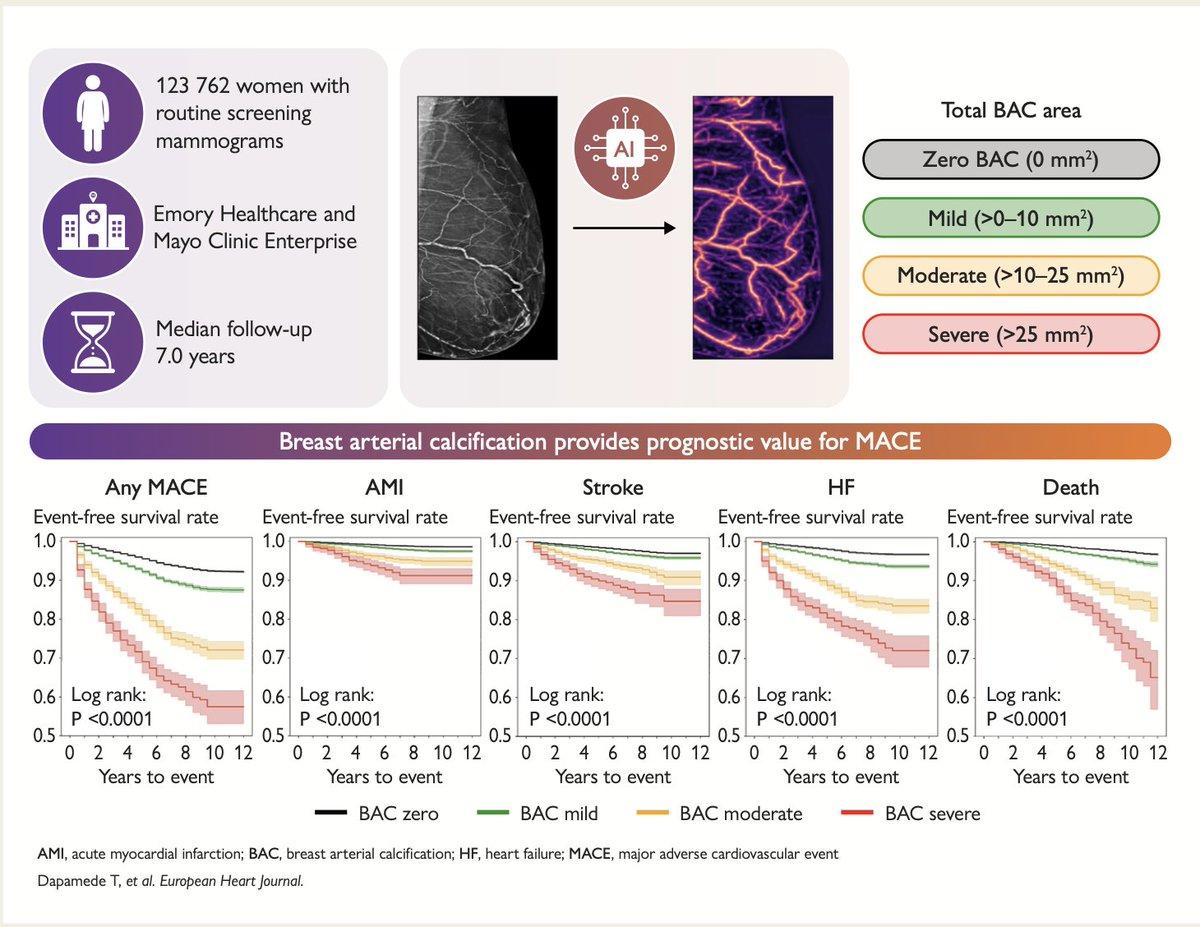 Add AI Breast Artery Calcification Scan to Mammograms
