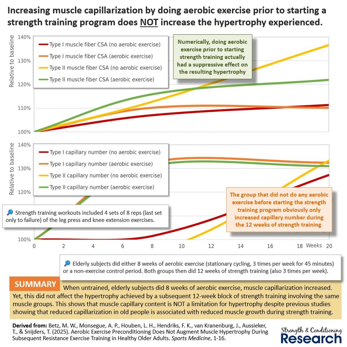 More Capillaries Don’t Boost Muscle Growth, Study Finds