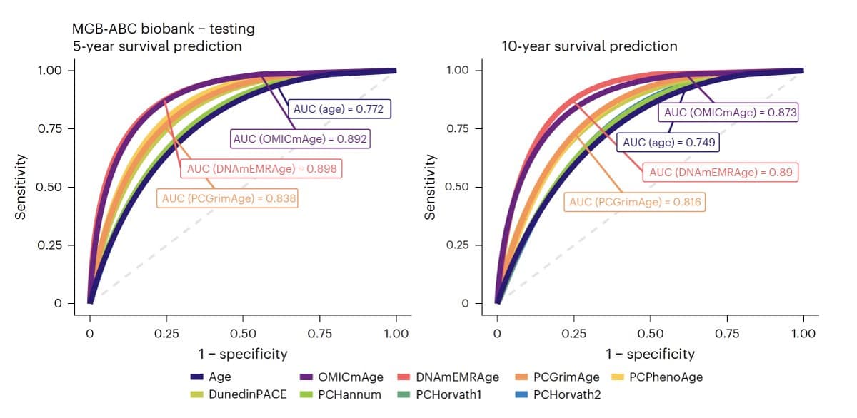 Combining EMR and Multi‑omics Sharpens Biological Age Predictions