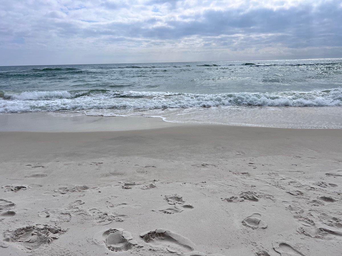 Emerging Protein Degradation Trends and CAR‑T Synergies