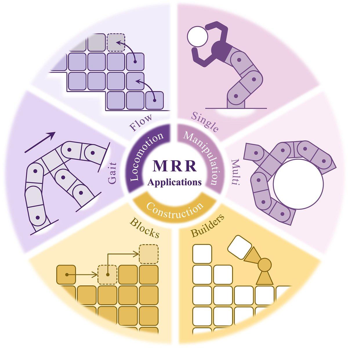 Modular Reconfigurable Robots Enable Versatile Locomotion, Manipulation, Construction