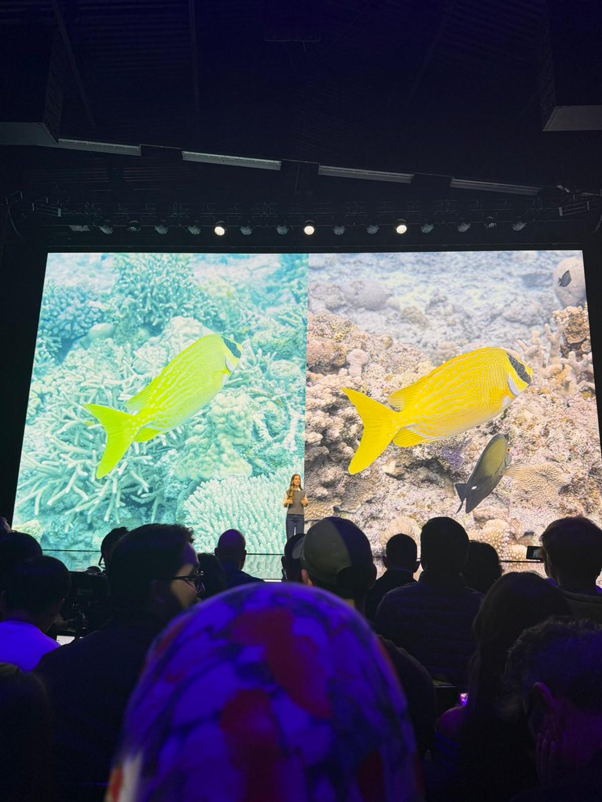 Ocean Mode Evolves From Reef Research to Camera Tool