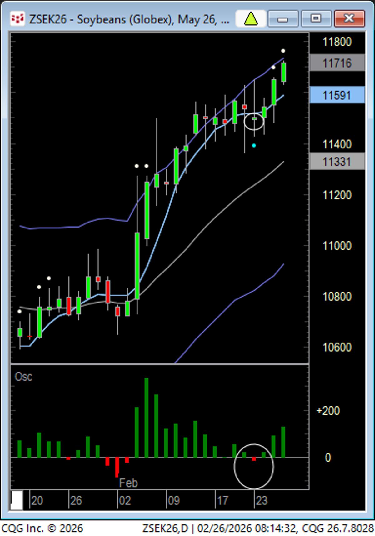 Beans Rally Post‑pullback, Breakout Confirms Uptrend
