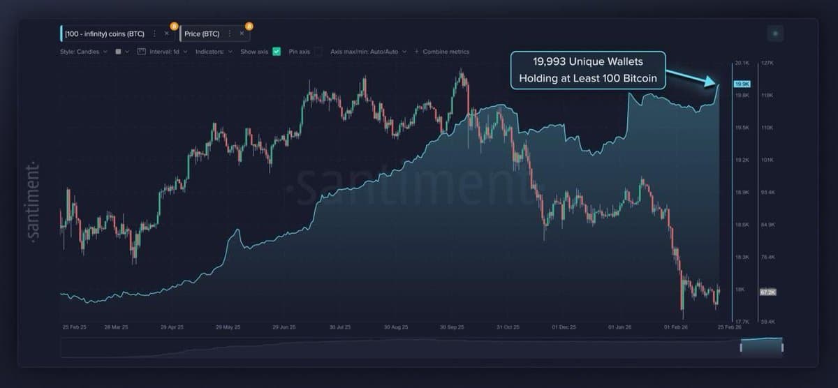 100+ BTC Wallets Near 20,000, Outpacing October