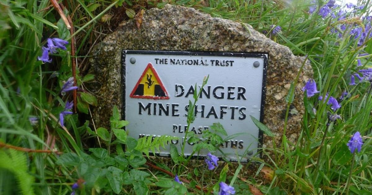 Comparing Lorigerlimab, Volrustomig, Cadonilimab: Design Lessons