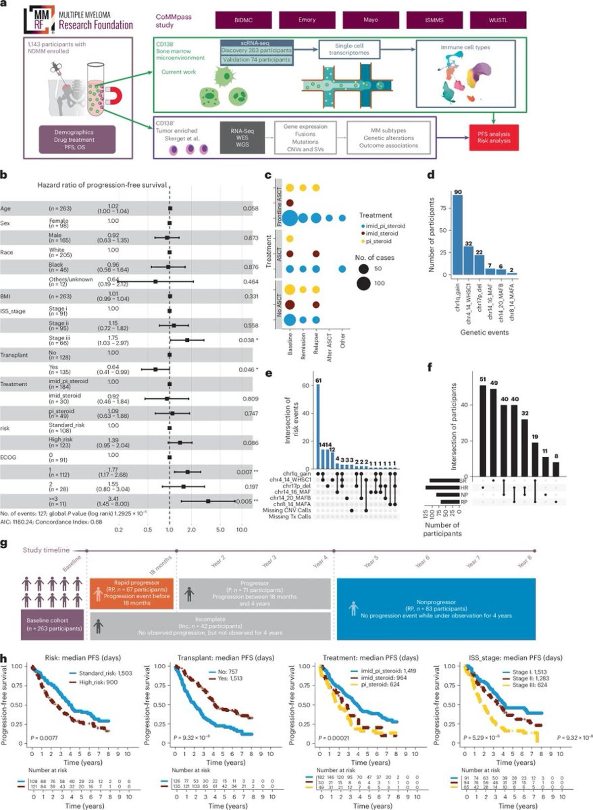 Single-Cell Atlas Links Marrow Immune Dysregulation to Myeloma Outcomes