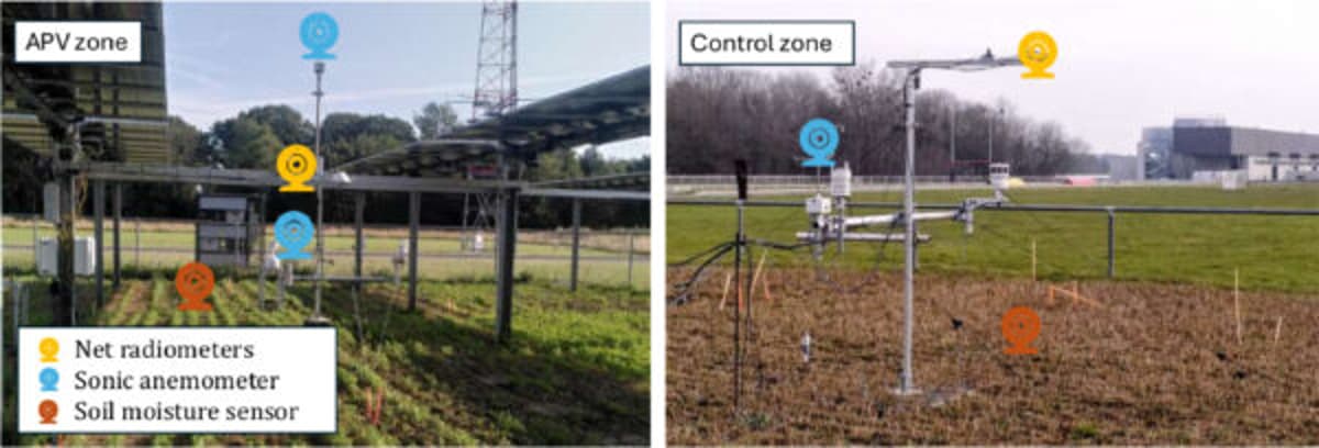 Optimized Airflow Boosts Both Crop Yields and Solar Output