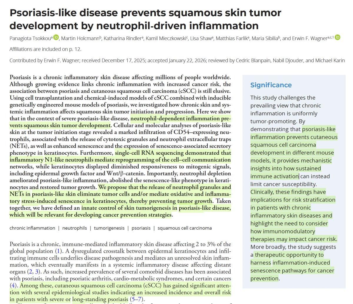 Psoriasis' Immune Activation Reduces Skin Cancer Risk