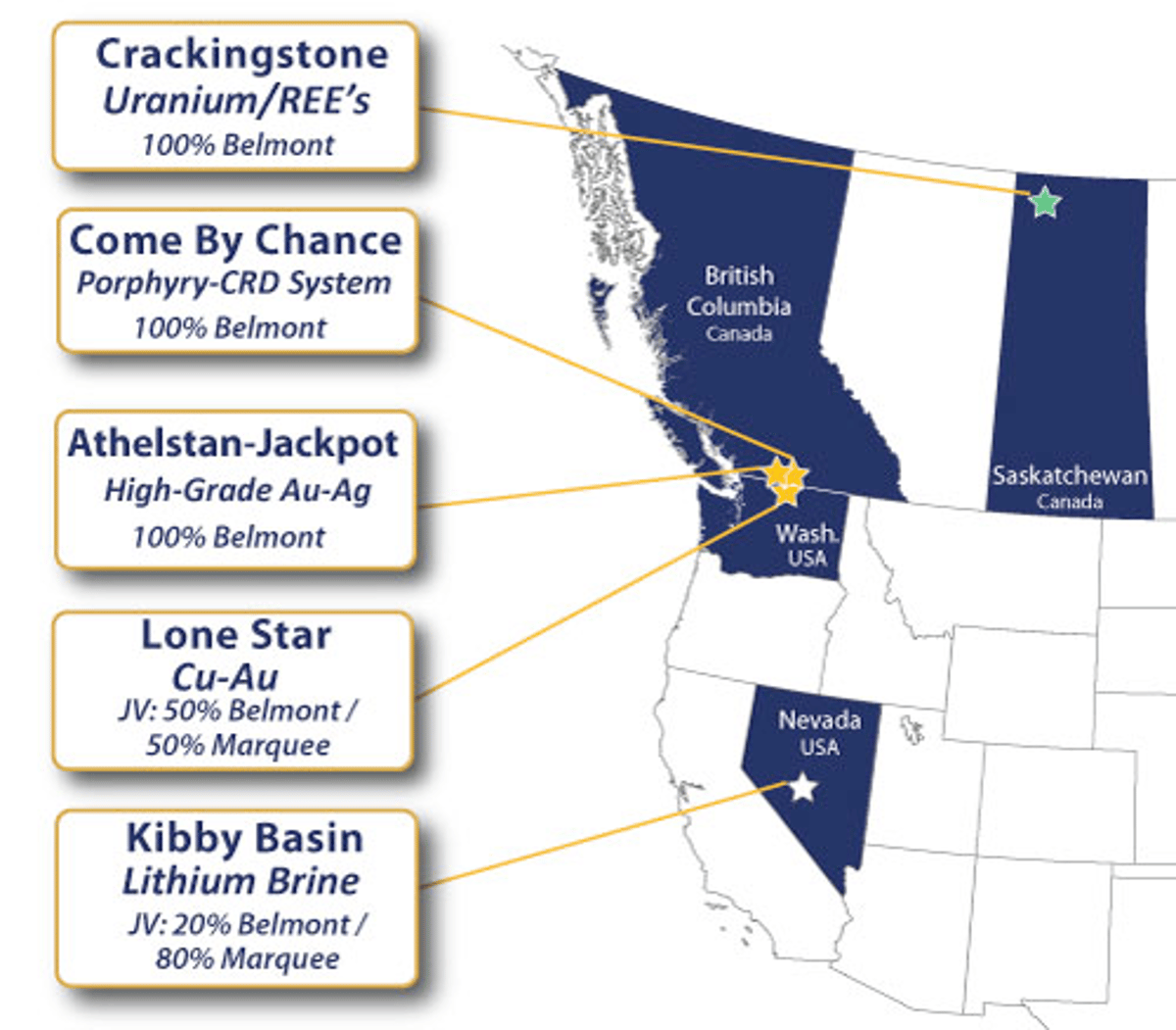 Belmont Resources Adds International Critical‑Minerals Expert to Board