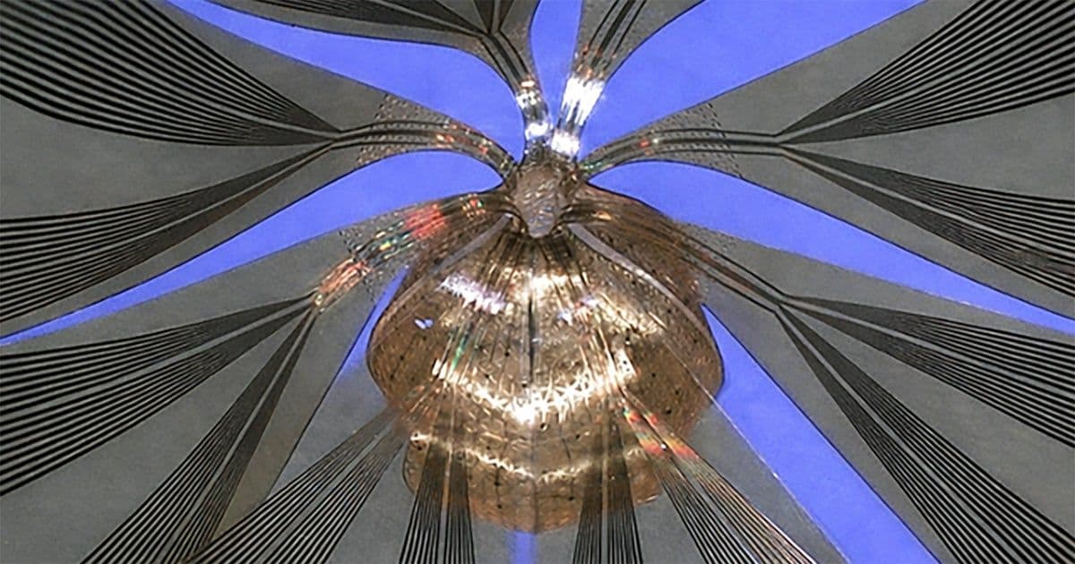 Device Captures Brain Waves in Human‑Like Mini Brains