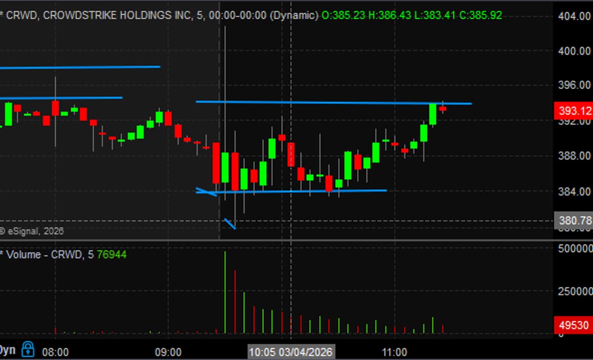 CRWD Rebounds After 30%