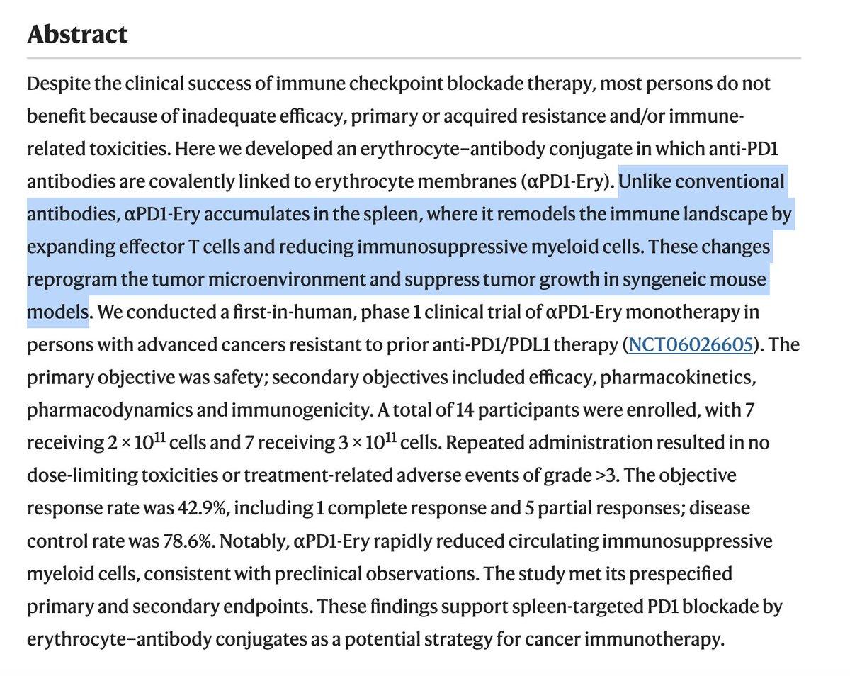 Red Blood Cell–PD1 Conjugates Show Promise in Resistant Tumors