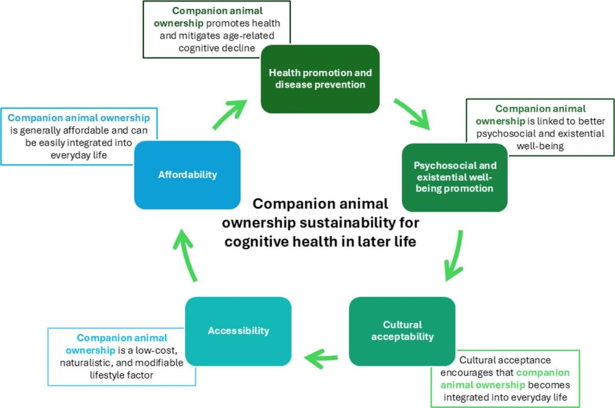 Pets May Shield Against Cognitive Decline, Review Finds