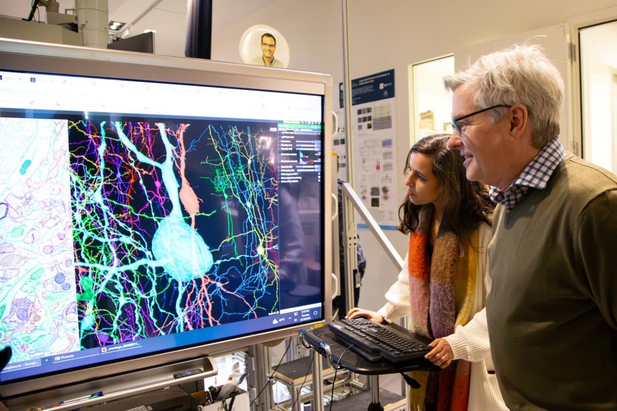 Mouse Watching “The Matrix” Guides Massive Brain Map