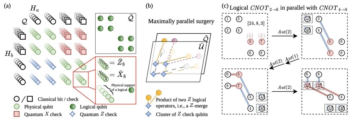 Clustered‑Cyclic Codes Enable Parallel Quantum Logic