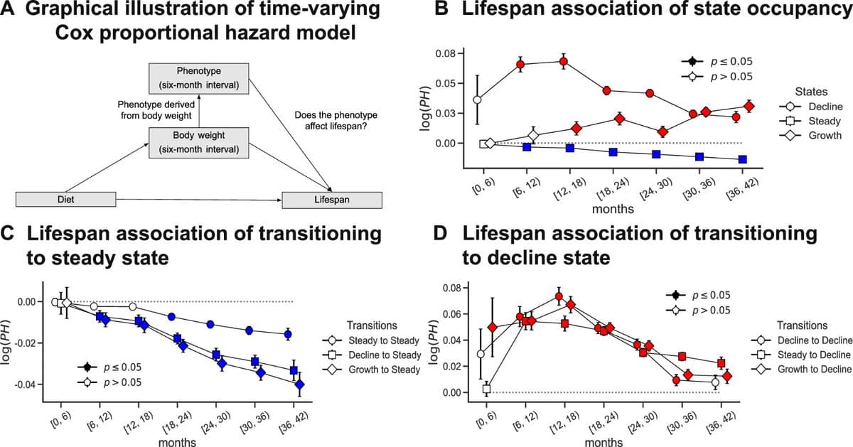 Stable Weight Maintenance Predicts Longer Lifespan in Mice
