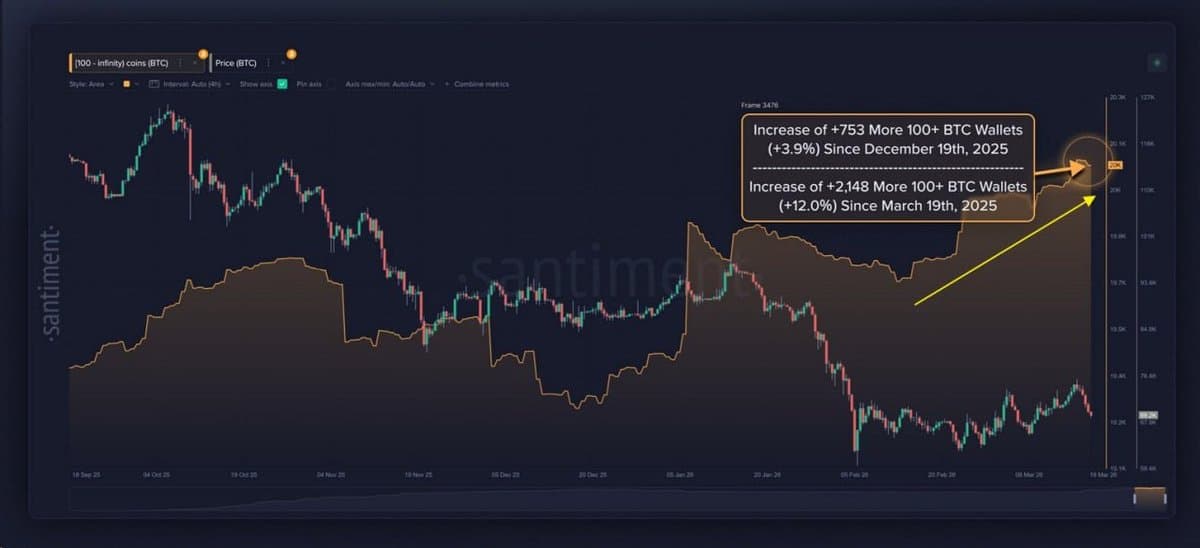 Big Bitcoin Whales Keep Buying Amid Flat Prices