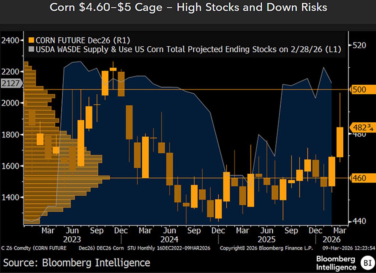 December Corn Caps Near $5 Amid Rising Stocks