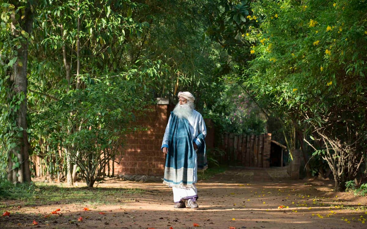 You Can Choose to Be Wonderful Right Now