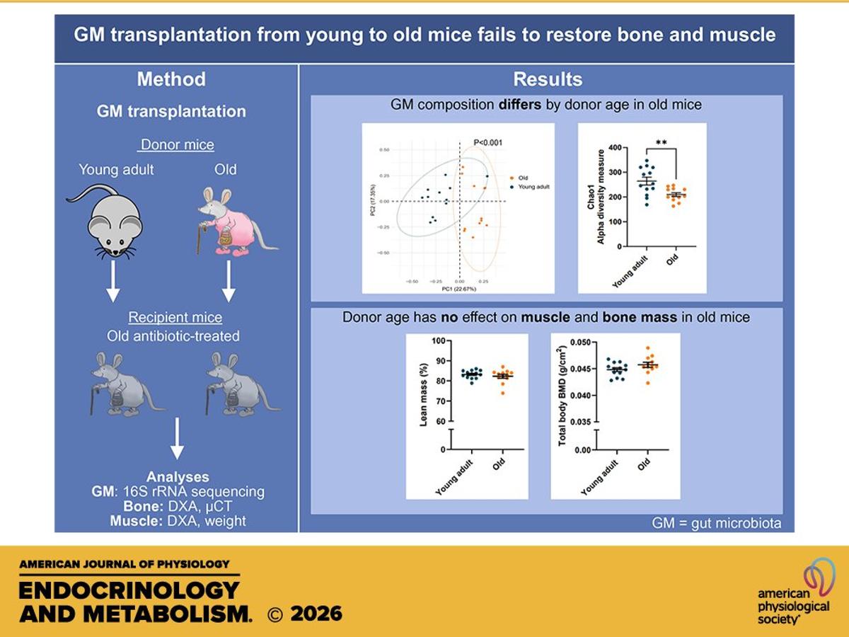 Young Gut Microbes Fail