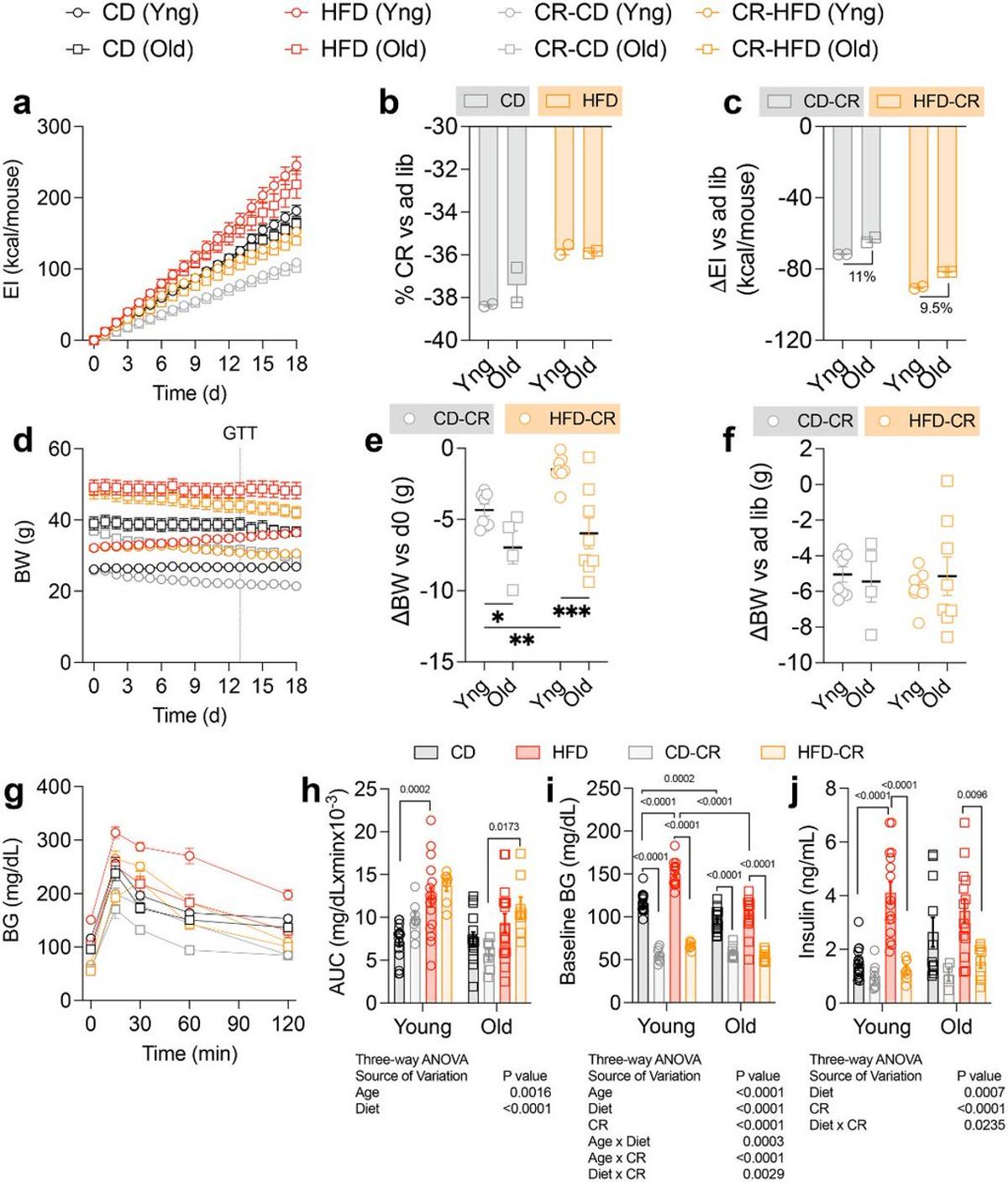 Aged Male Mice Stay Glucose Tolerant Despite Obesity