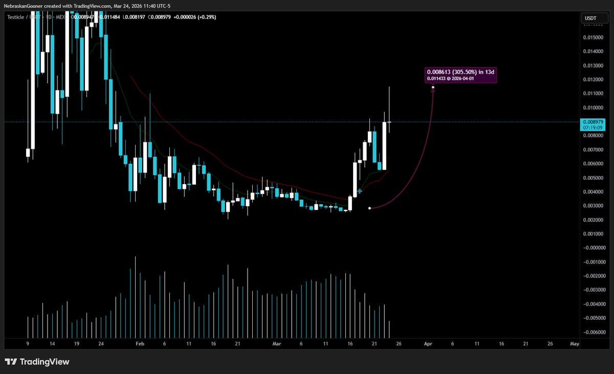 Fundamentals Down, Meme Token Soars 300%