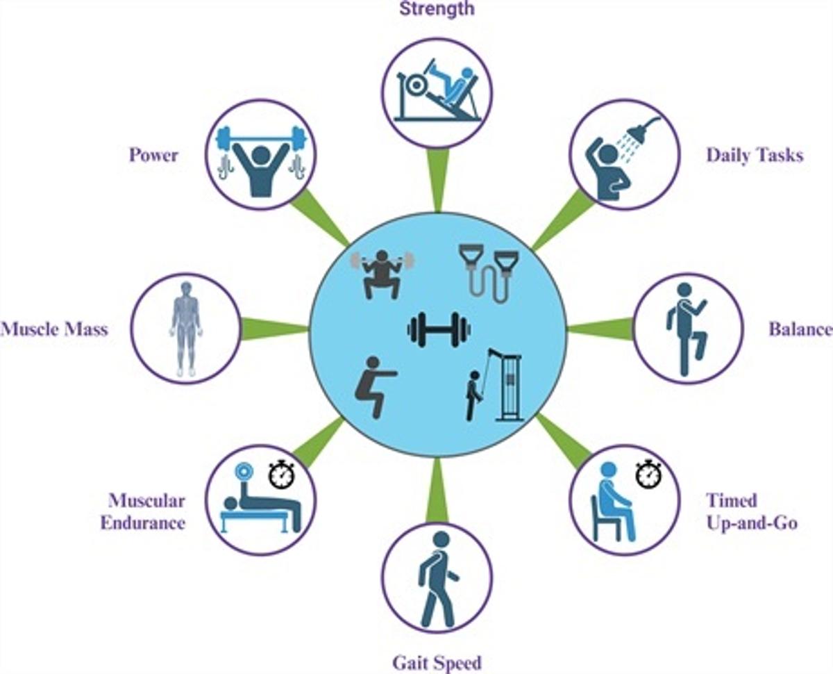 Regular Resistance Training Boosts Muscle Function, Hypertrophy, Performance