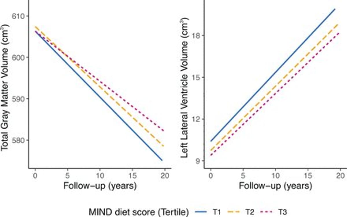 MIND Diet Slows Brain Atrophy Over Ten Years