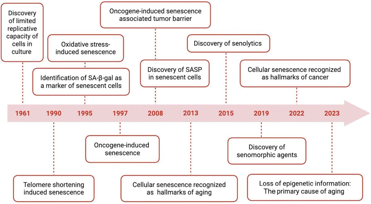 Epigenetic Plasticity Enables Precision Targeting of Senescent Cells
