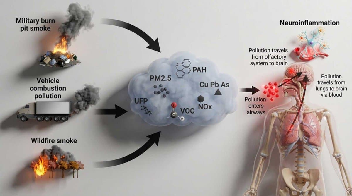 Combat Smoke Inhalation Triggers Neuroinflammation, Threatening Brain Health