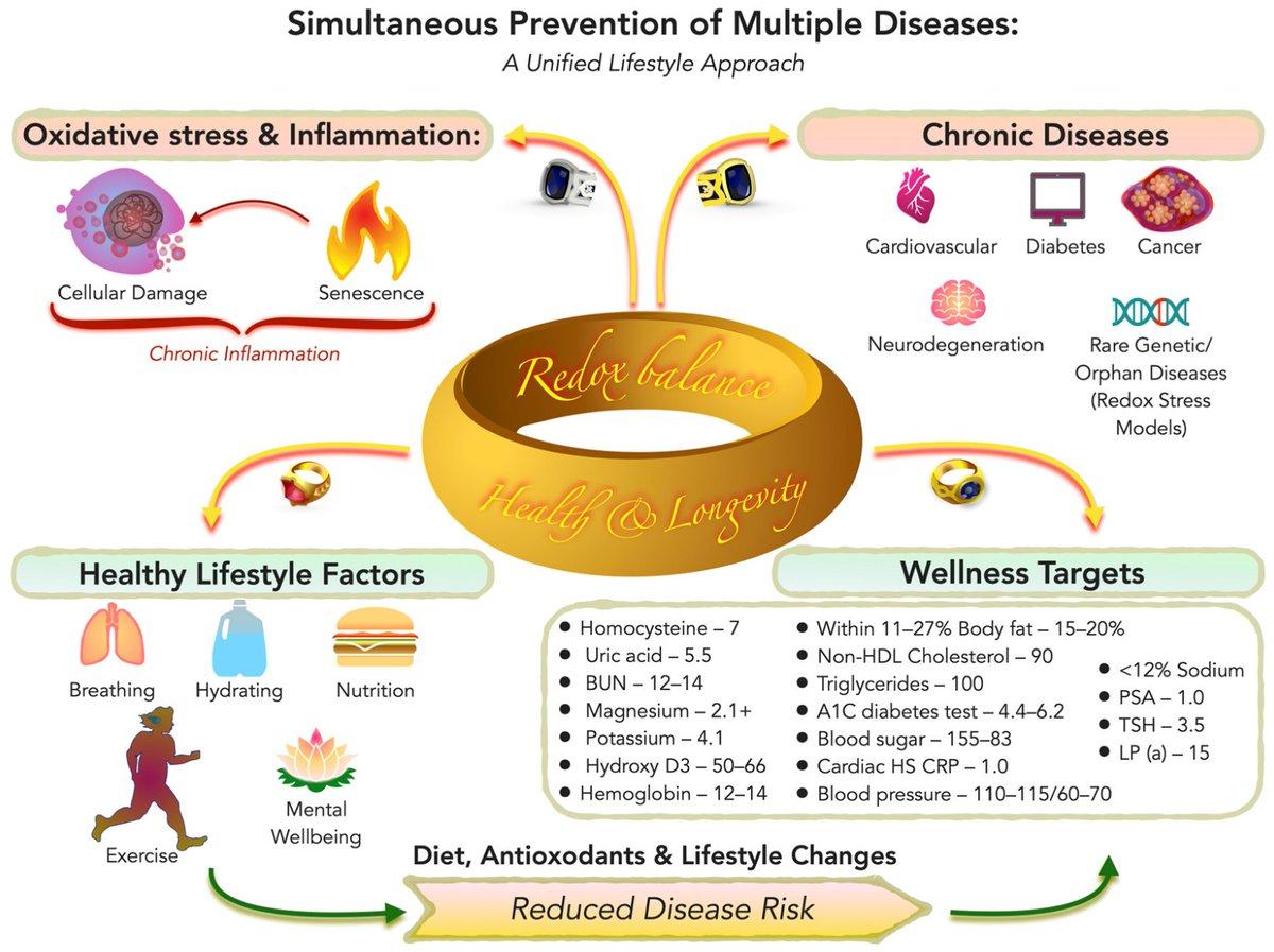 Unified Redox Strategy Prevents Multiple Diseases Simultaneously