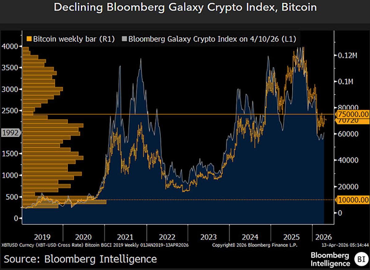 Crypto Rally Likely Bear‑Market Bounce, Not True Bottom