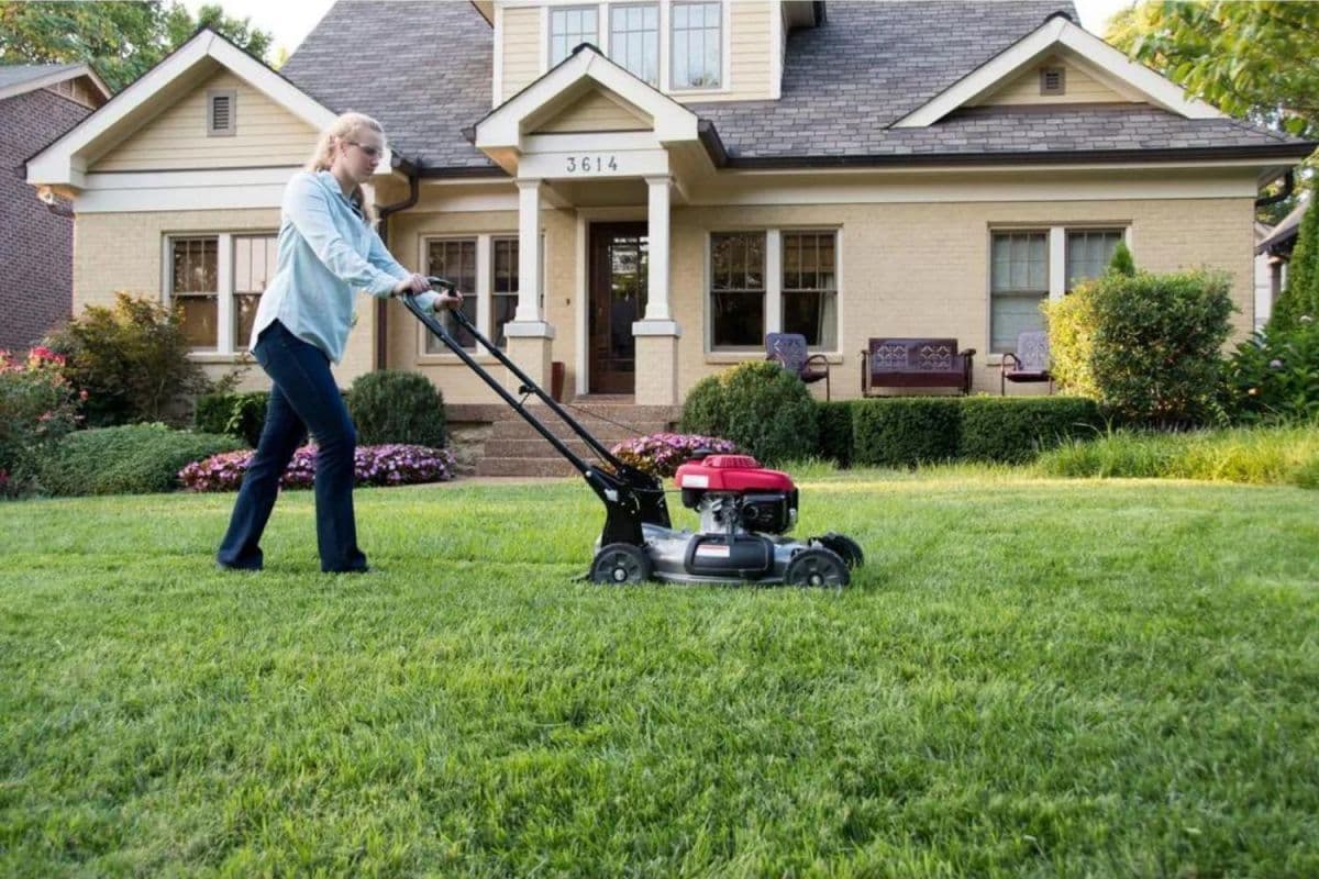 Pick the Perfect Gas Mower for Your Yard