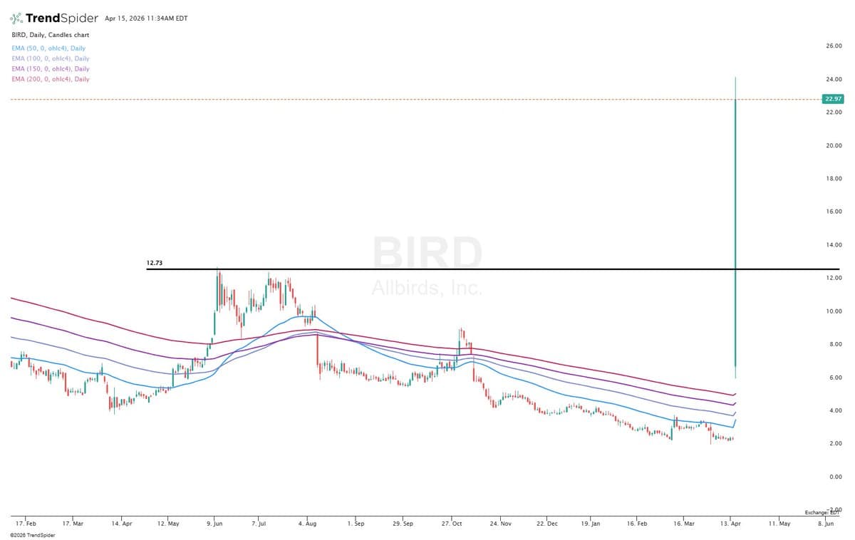 BIRD Soars 800% After Bizarre Strategy Pivot