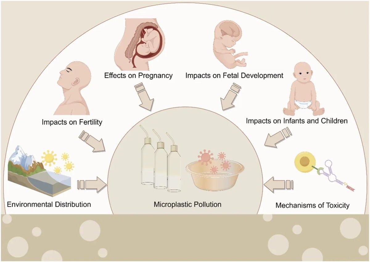 Microplastics Threaten Reproduction, Development, and Aging